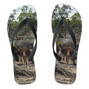 Chanclas El salvaje Bush canguro australiano,