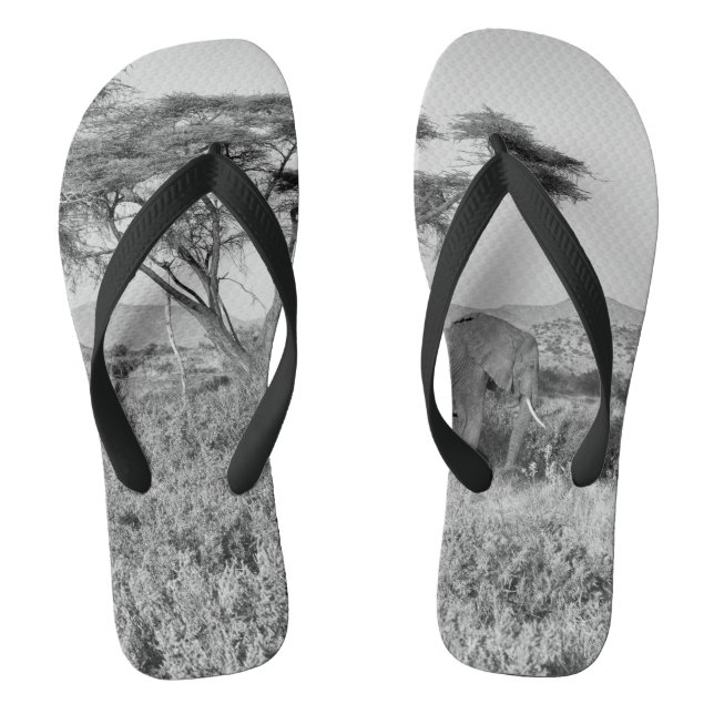 Chanclas Elefante en Samburu (Plantilla)