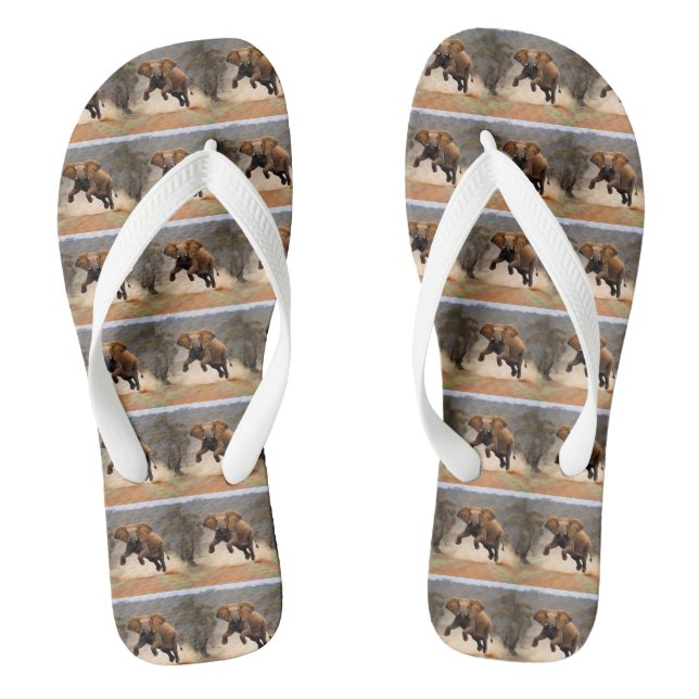 Chanclas Elephant Kangaroo Hop, (Plantilla)