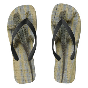Chanclas Escalando la pared