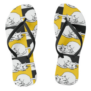 Chanclas Ese gato está durmiendo.