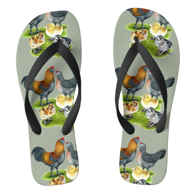 Chanclas Familia de Gallinas Ameraucana (Plantilla)