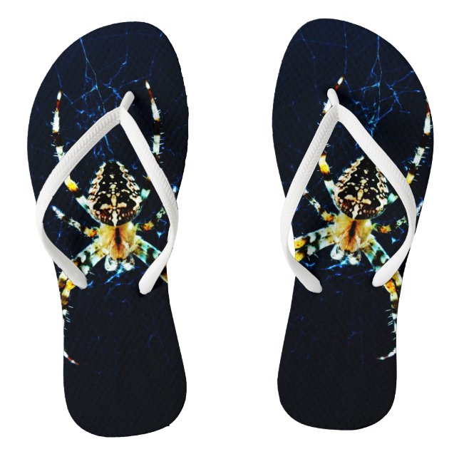 Chanclas Fcnm de araña de jardín europeo (Plantilla)