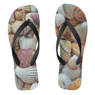 Chanclas Flechas de volteo de las conchas marinas