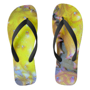 Chanclas Flechas raras de volteo de frutas