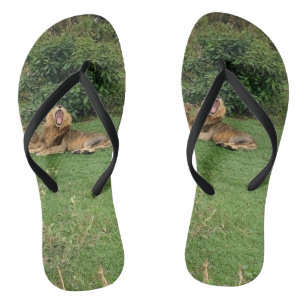 Chanclas Flip Flops de bostezo de alba de león