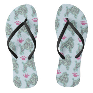 Chanclas Flip Flops De Canción Y Pata