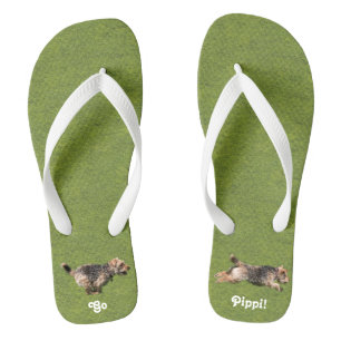 Chanclas Flip Flops de miedo galés en funcionamiento