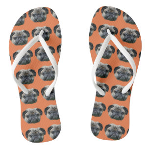 Chanclas Flip flops de perro de cerdo Naranja