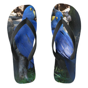 Chanclas flip flops _ loros _ beso