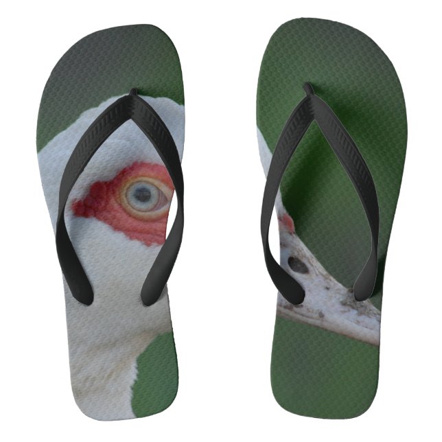 Chanclas flip flops _ pato (Plantilla)