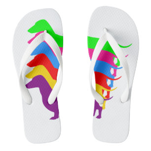 Chanclas Flips-flopes del Dachshund del arco iris