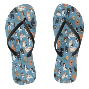 Chanclas Flips-flopes del distrito del perro
