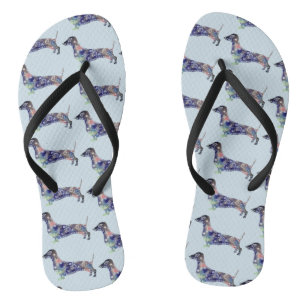 Chanclas Flips-flopes del perro del Dachshund