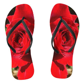 Chanclas Flor rosa roja brillante hermosa flor