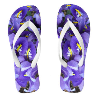 Chanclas Floral de primavera de irlandeses azules en miniat