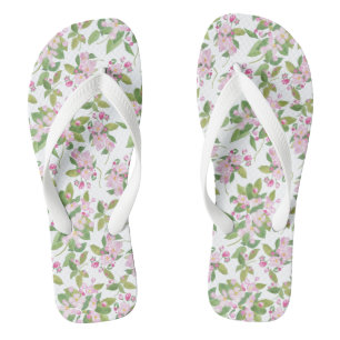 Chanclas Florecimiento de Apple Rosa bonito en fondo blanco