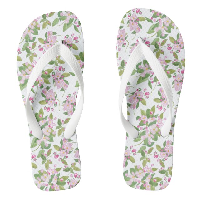 Chanclas Florecimiento de Apple Rosa bonito en fondo blanco (Plantilla)