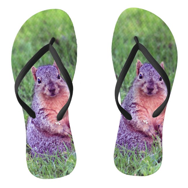 Chanclas Foto de la fauna marina de la ardilla (Plantilla)