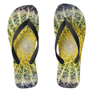 Chanclas Foto de la planta de Cactus del Globo Botánico