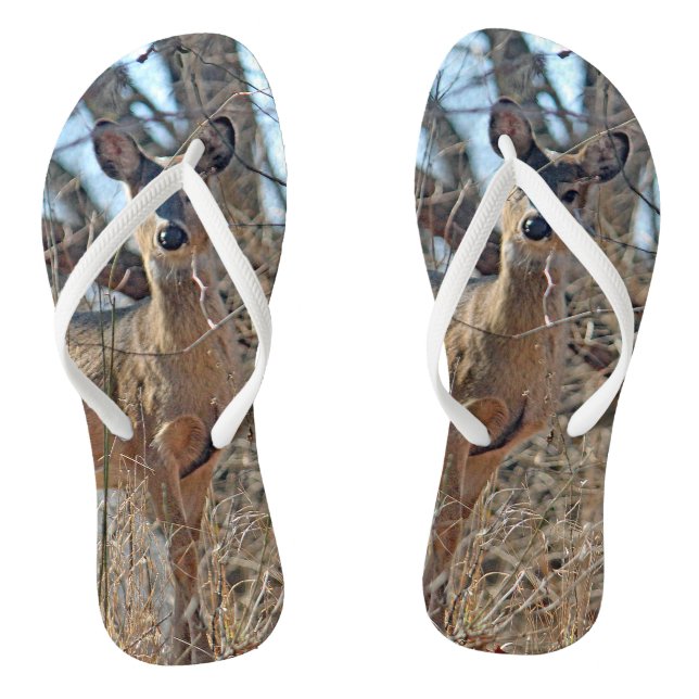 Chanclas Foto de Wildlife Deer Woods (Plantilla)