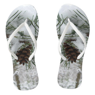 Chanclas Fotografía de la naturaleza del invierno de la ram