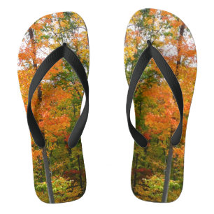Chanclas Fotografía de la naturaleza otoñal en árboles de a