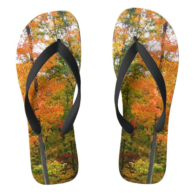 Chanclas Fotografía de la naturaleza otoñal en árboles de a (Plantilla)