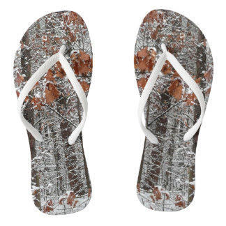 Chanclas Fotografía de naturaleza invernal de robles cubier