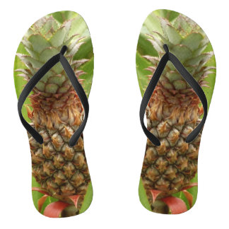 Chanclas Fruta tropical de la piña silvestre en la naturale