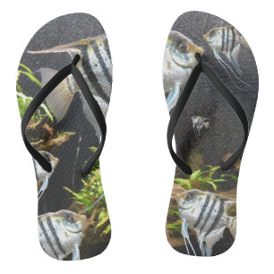 Chanclas Fútbol Tropical Striped Fish Adulto Flip Flops