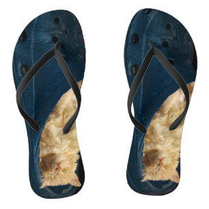 Chanclas Gatito Dormido En Un Zapato De Croc, Flip Flops