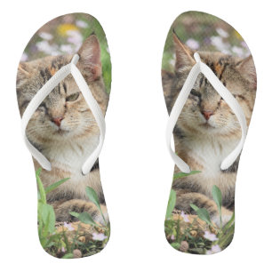 Chanclas Gato