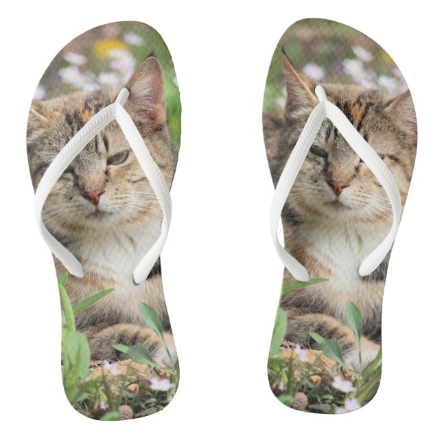 Chanclas Gato (Plantilla)