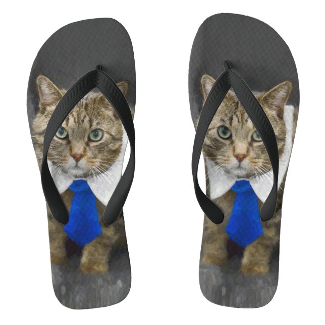 Chanclas Gato de tabby marrón de ojos verdes lindo que (Plantilla)