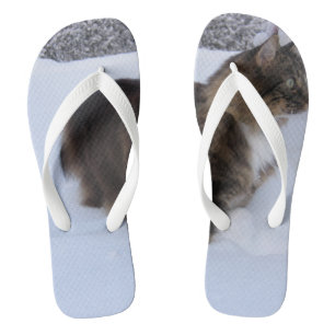 Chanclas gato del bosque noruego en la nieve
