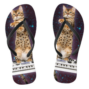 Chanclas gato golpea de nuevo
