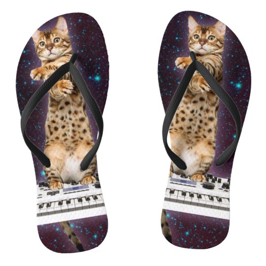 Chanclas gato golpea de nuevo | Zazzle.es