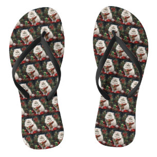 Chanclas Gato persa en Navidades de nieve