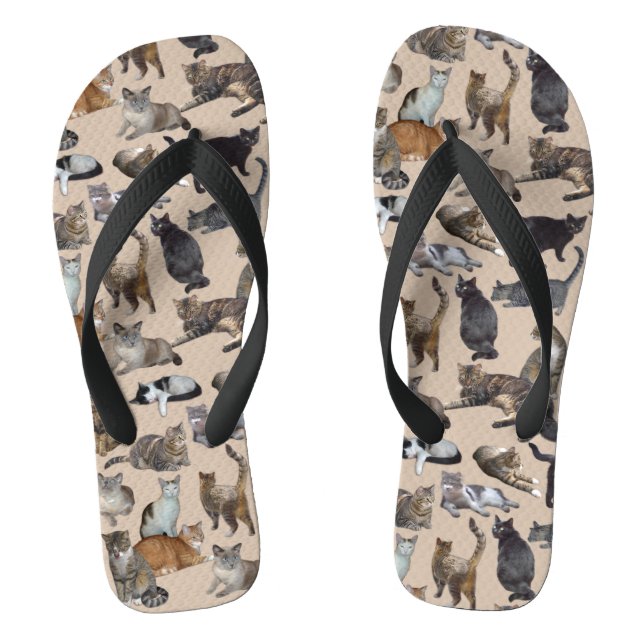 Chanclas Gatos (Plantilla)
