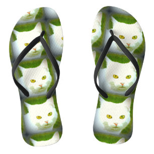 Chanclas Gatos blancos