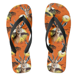 Chanclas Gazelle Animal salvaje Antelope africano