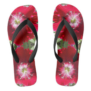 Chanclas Geertje