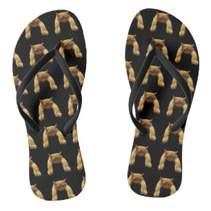 Chanclas Ginger Lazy Cat, Flip Flops