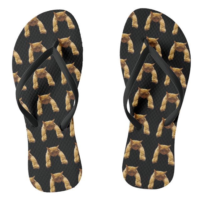 Chanclas Ginger Lazy Cat, Flip Flops (Plantilla)