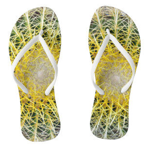 Chanclas Graciosa e incómoda foto botánica de Cactus