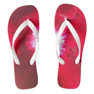 Chanclas Grandilocuencia