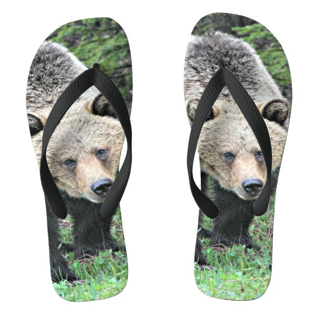 Chanclas Grizzly Bear Caminando En Los Bosques (Plantilla)