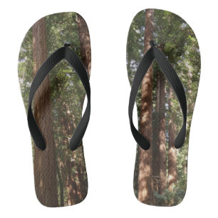 Chanclas Hasta Redwoods II en el Monumento Nacional Muir Wo