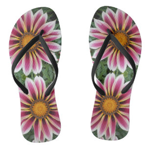 Chanclas Hereford
